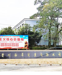 貴州西洋實業(yè)項目--借助眾升科技10KV戶外箱變式無功補(bǔ)償裝置，功率因數(shù)達(dá)標(biāo)！