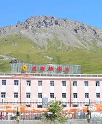 眾升科技系統(tǒng)輕載補(bǔ)償裝置--助力青海威斯特銅業(yè)有限責(zé)任公司，高效用電、改善電能質(zhì)量！